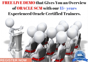 Free Live Demo On ORacle SCM